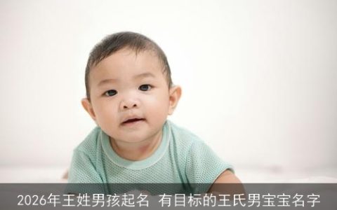 2026年王姓男孩起名 有目标的王氏男宝宝名字