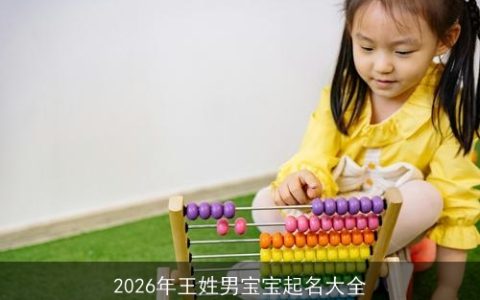 2026年王姓男宝宝起名大全