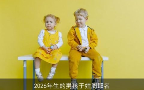 2026年生的男孩子姓周取名