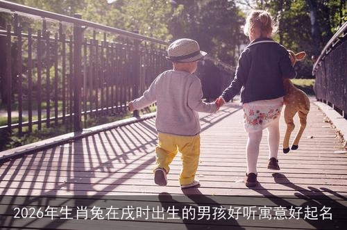 2026年生肖兔在戌时出生的男孩好听寓意好起名