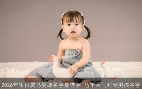 2026年生肖属马男取名字最佳字 马年大气时尚男孩名字