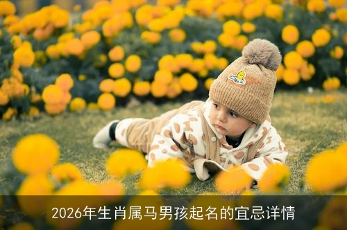 2026年生肖属马男孩起名的宜忌详情