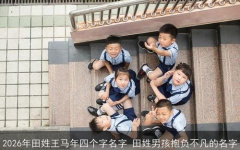 2026年田姓王马年四个字名字 田姓男孩抱负不凡的名字