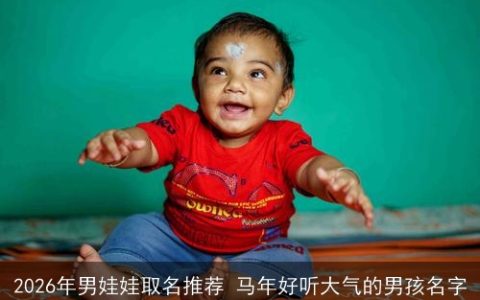 2026年男娃娃取名推荐 马年好听大气的男孩名字