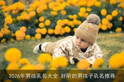 2026年男孩乳名大全 好听的男孩子乳名推荐