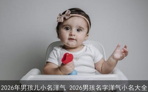 2026年男孩儿小名洋气 2026男孩名字洋气小名大全