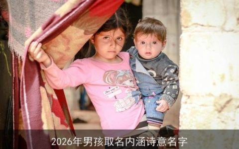 2026年男孩取名内涵诗意名字