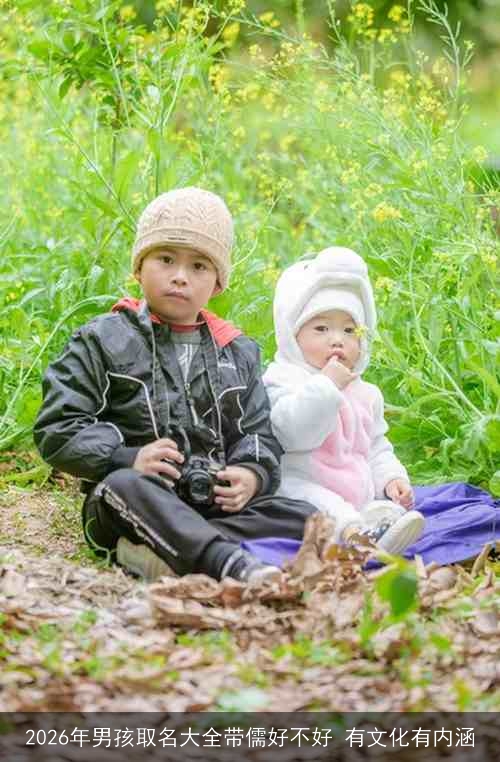 2026年男孩取名大全带儒好不好 有文化有内涵