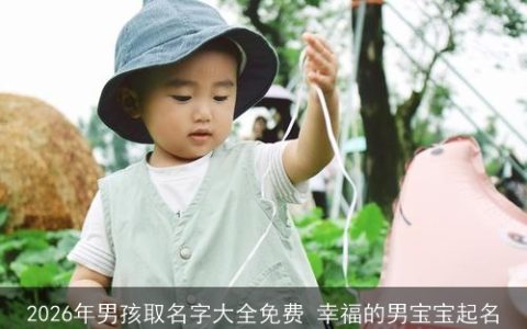 2026年男孩取名字大全免费 幸福的男宝宝起名