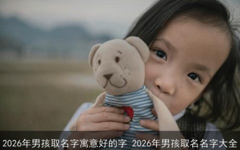 2026年男孩取名字寓意好的字 2026年男孩取名名字大全