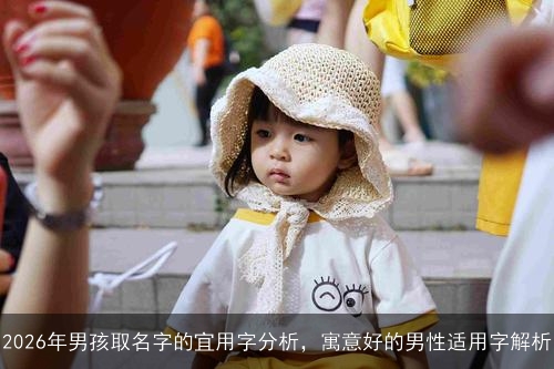 2026年男孩取名字的宜用字分析，寓意好的男性适用字解析