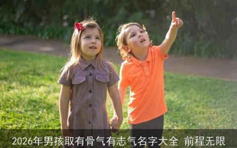 2026年男孩取有骨气有志气名字大全 前程无限