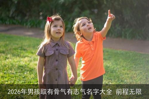 2026年男孩取有骨气有志气名字大全 前程无限