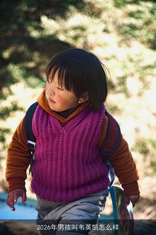 2026年男孩叫韦英凯怎么样