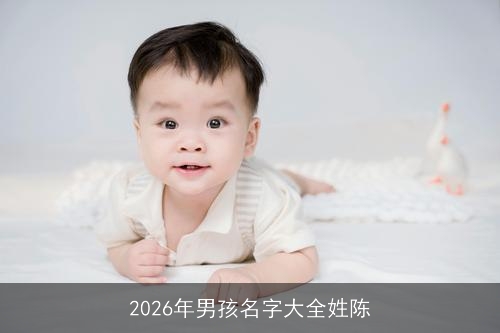 2026年男孩名字大全姓陈