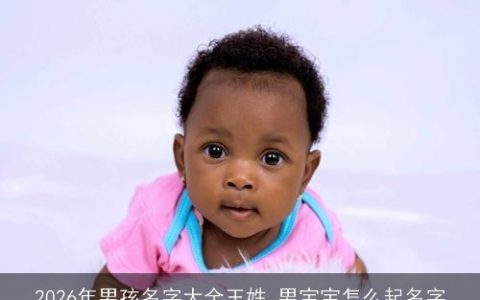 2026年男孩名字大全王姓 男宝宝怎么起名字