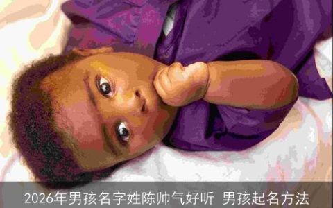 2026年男孩名字姓陈帅气好听 男孩起名方法