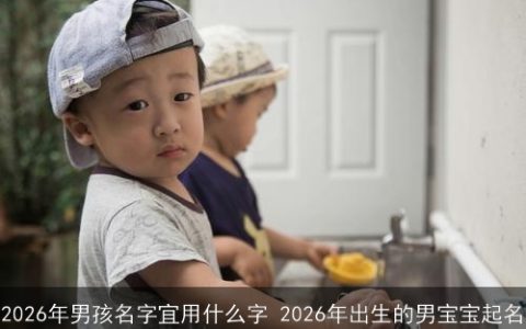2026年男孩名字宜用什么字 2026年出生的男宝宝起名