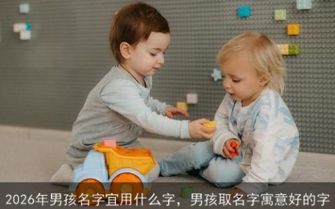 2026年男孩名字宜用什么字，男孩取名字寓意好的字