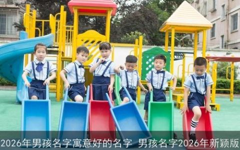 2026年男孩名字寓意好的名字 男孩名字2026年新颖版