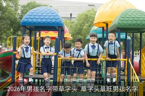 2026年男孩名字带草字头 草字头最旺男孩名字