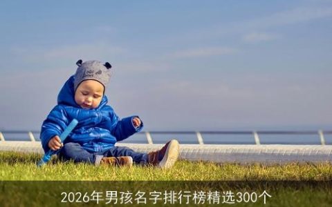 2026年男孩名字排行榜精选300个
