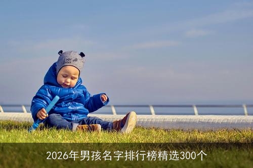 2026年男孩名字排行榜精选300个