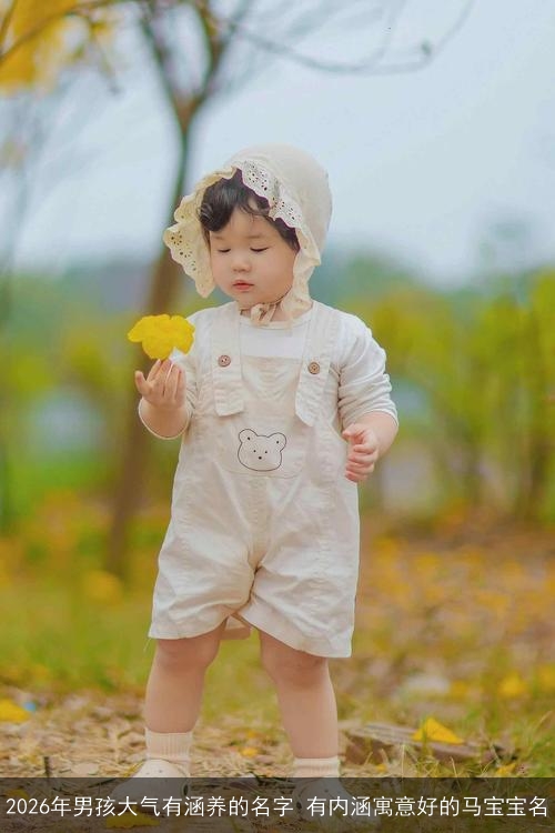 2026年男孩大气有涵养的名字 有内涵寓意好的马宝宝名