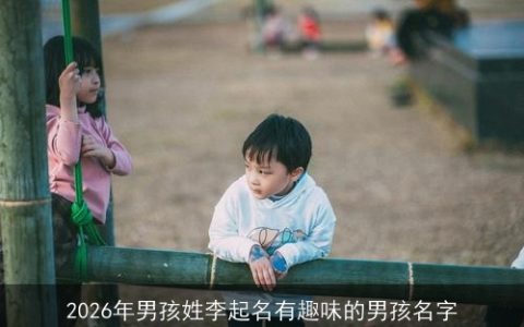 2026年男孩姓李起名有趣味的男孩名字