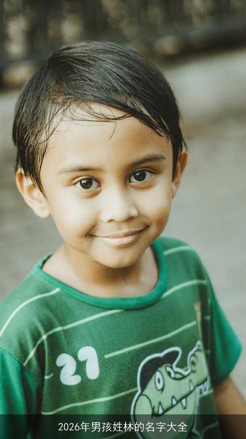2026年男孩姓林的名字大全