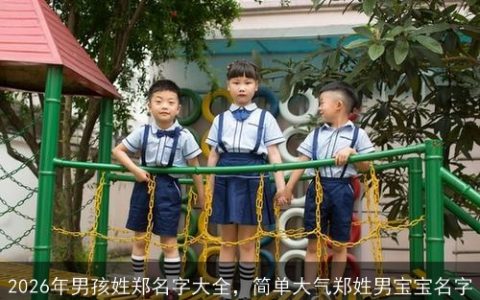 2026年男孩姓郑名字大全，简单大气郑姓男宝宝名字