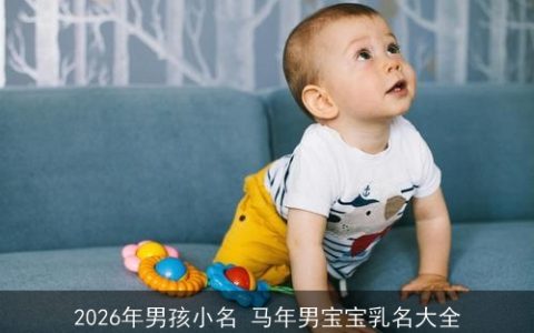 2026年男孩小名 马年男宝宝乳名大全