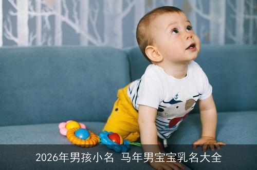 2026年男孩小名 马年男宝宝乳名大全