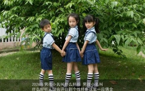 2026年男孩小名叫什么好听 男孩小名叫什么好听从综合评价到个性特色这里一应俱全