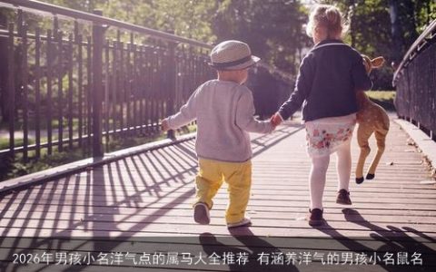 2026年男孩小名洋气点的属马大全推荐 有涵养洋气的男孩小名鼠名