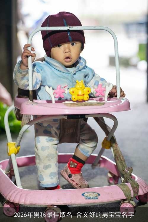 2026年男孩最佳取名 含义好的男宝宝名字
