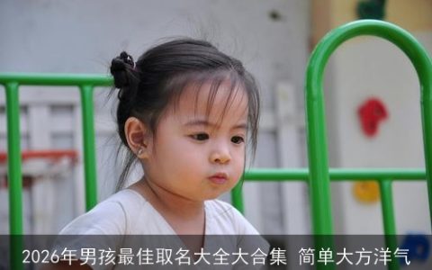 2026年男孩最佳取名大全大合集 简单大方洋气