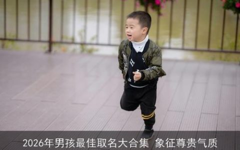 2026年男孩最佳取名大合集 象征尊贵气质