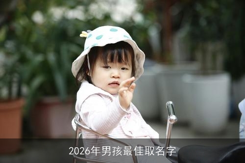 2026年男孩最佳取名字