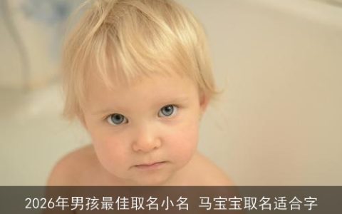 2026年男孩最佳取名小名 马宝宝取名适合字