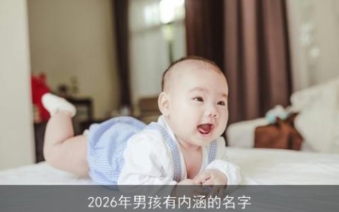 2026年男孩有内涵的名字