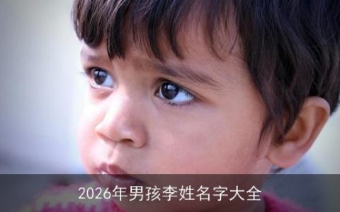 2026年男孩李姓名字大全