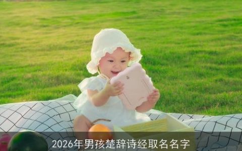 2026年男孩楚辞诗经取名名字