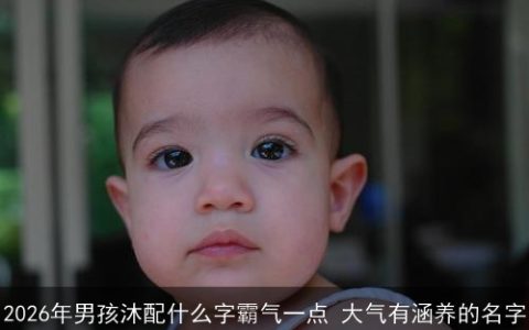 2026年男孩沐配什么字霸气一点 大气有涵养的名字