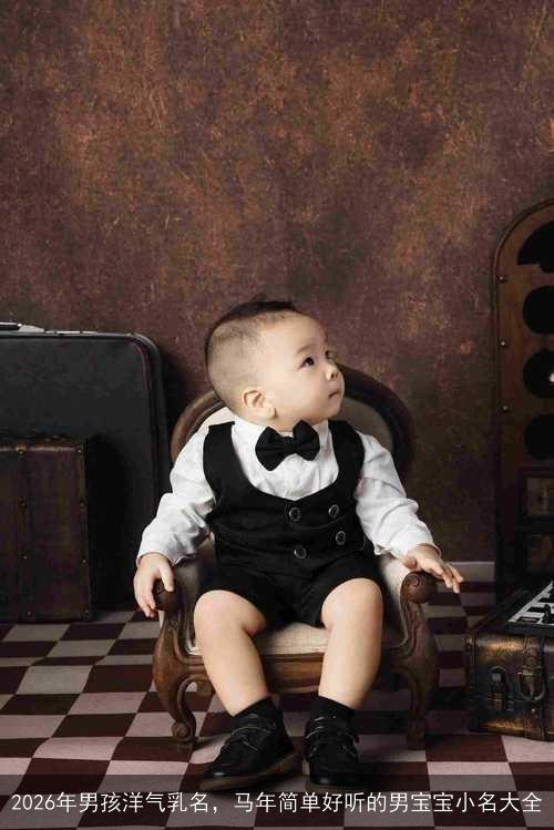 2026年男孩洋气乳名，马年简单好听的男宝宝小名大全