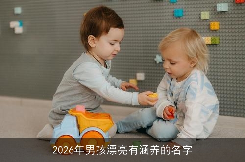2026年男孩漂亮有涵养的名字