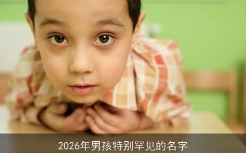 2026年男孩特别罕见的名字