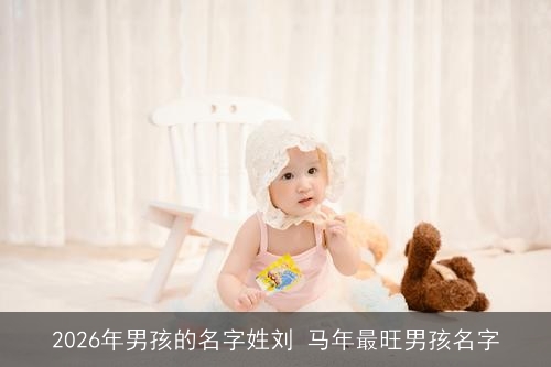2026年男孩的名字姓刘 马年最旺男孩名字