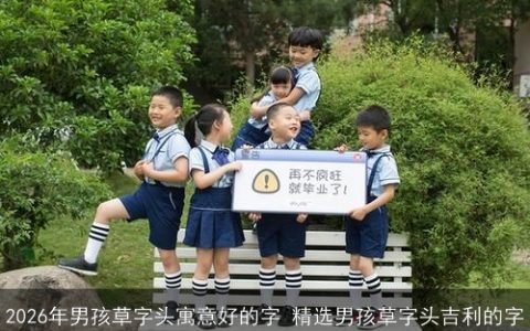 2026年男孩草字头寓意好的字 精选男孩草字头吉利的字