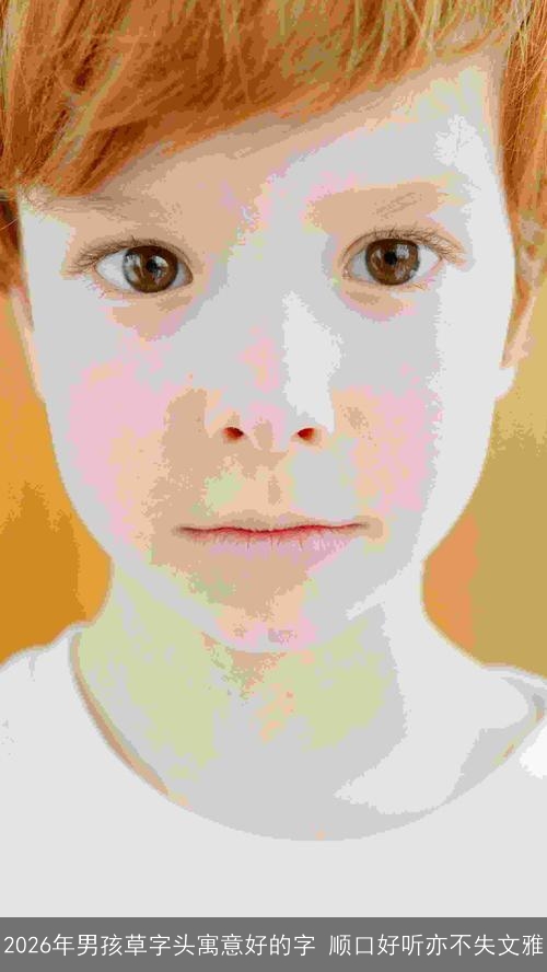 2026年男孩草字头寓意好的字 顺口好听亦不失文雅